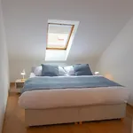 Krakovka 4* Praag